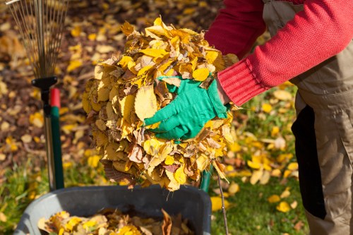 Eco-friendly disposal practices during garage cleanup